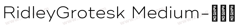 RidleyGrotesk Medium字体转换